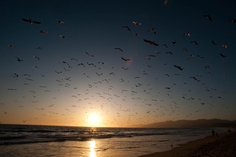 galleries/2013/06/03/13-stunning-sunsets-around-the-world-photos/130531-huntley-santa-monica_jr9crn