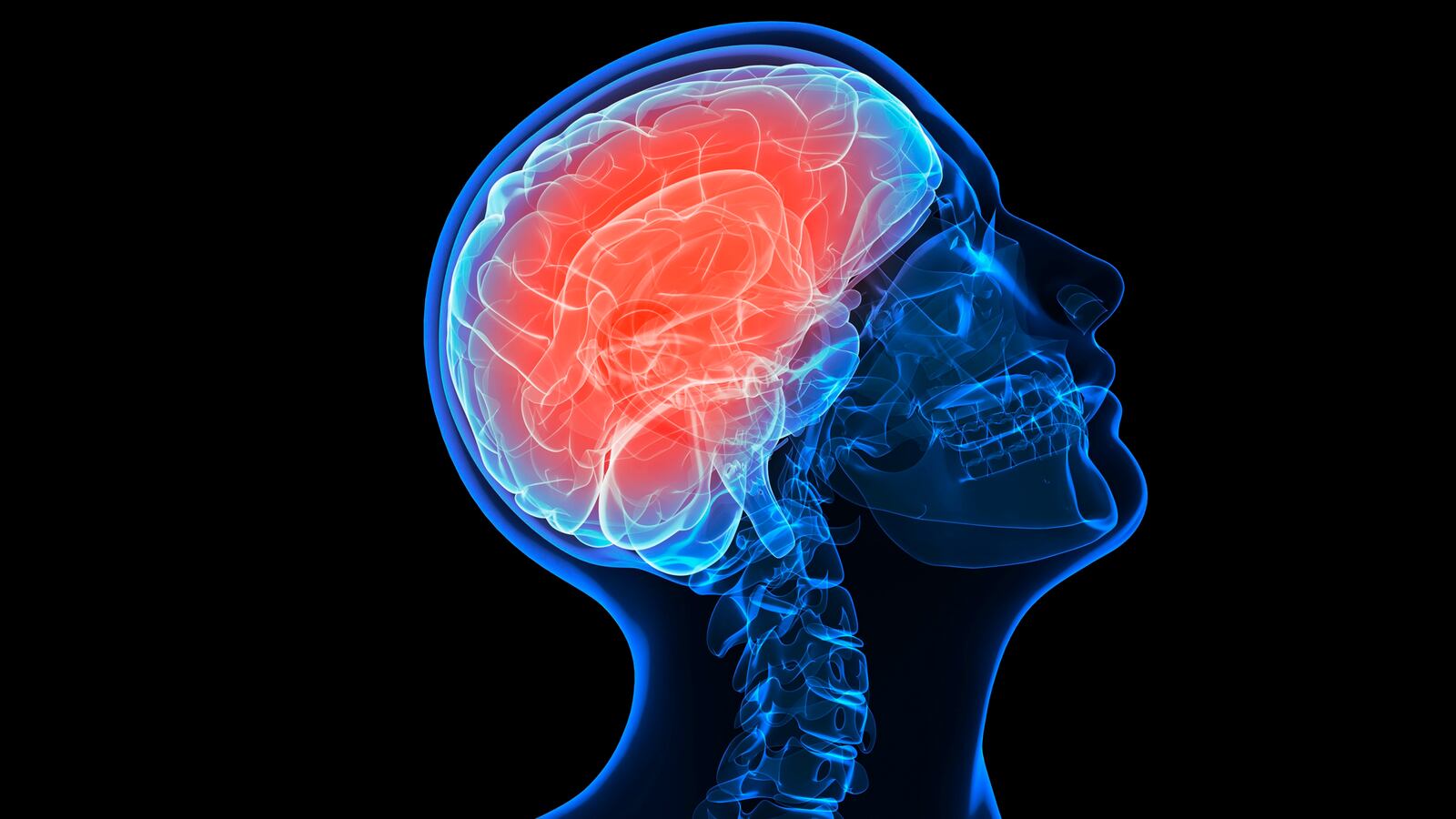 cheats/2013/03/27/low-brain-activity-predicts-rearrest/130316-schaffer-bacteria-brain-tease-embed_l0sqev