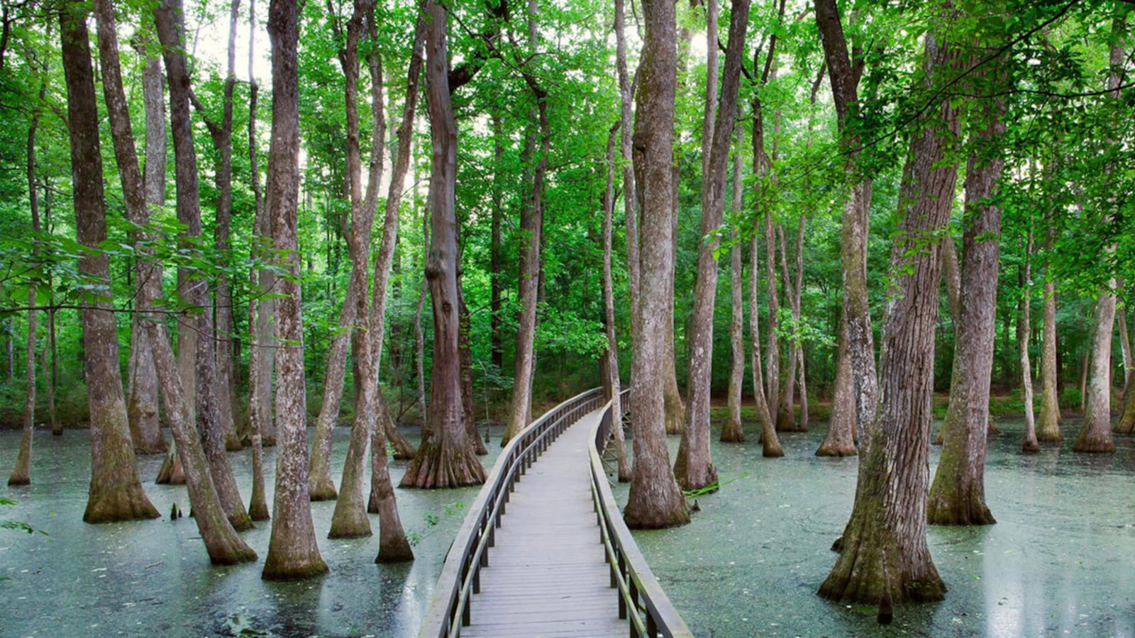 060123-mississippi-hero_zfrk6u