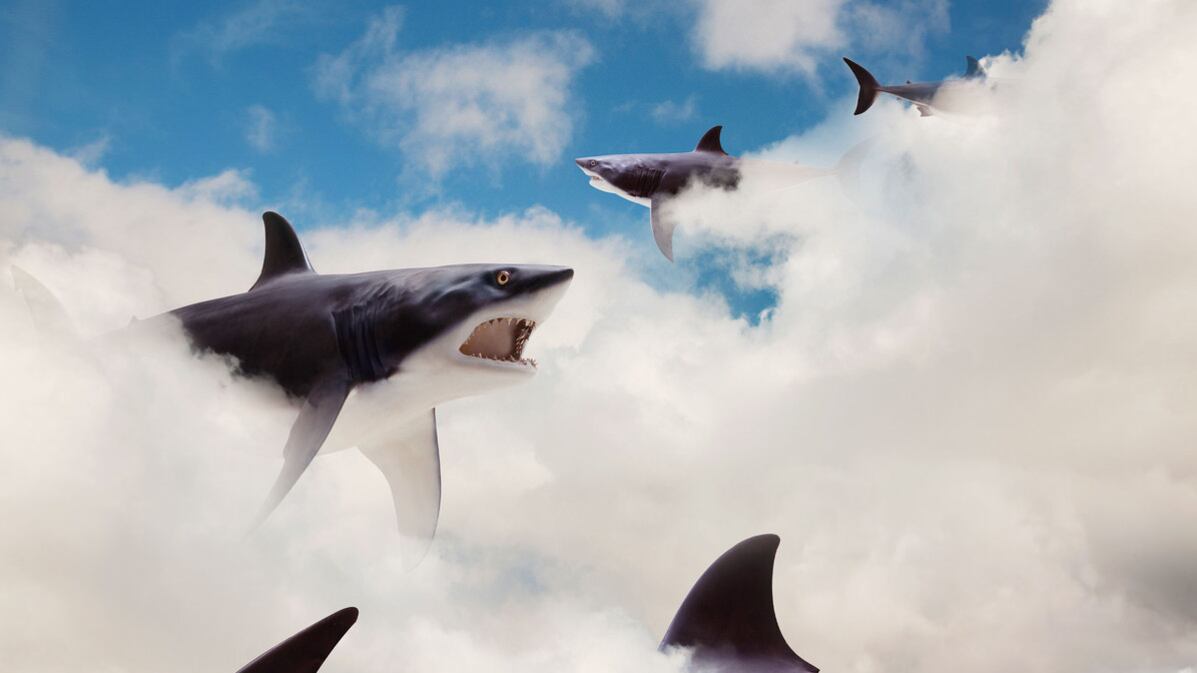 200807-Demopoulos-Shark-Fear-tease_oeckaw