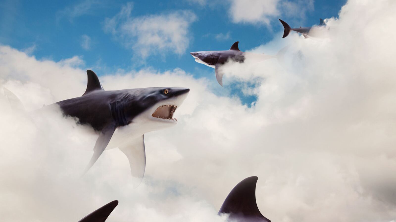 200807-Demopoulos-Shark-Fear-tease_oeckaw