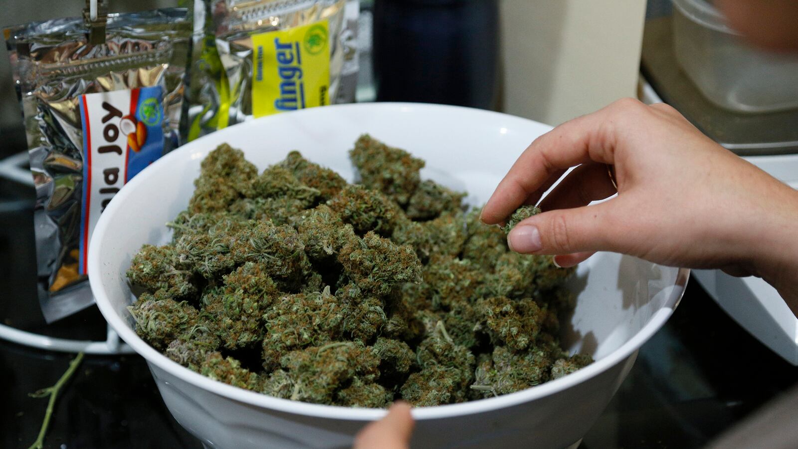 cheats/2014/03/14/old-pot-convictions-can-be-quashed/140314-pot-co-cheat_r9vn83