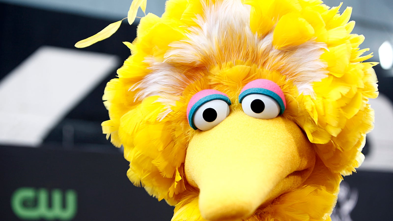 articles/2012/10/04/q-a-where-does-big-bird-stand-on-politics/big-bird-politics-fallon_xtmfxn