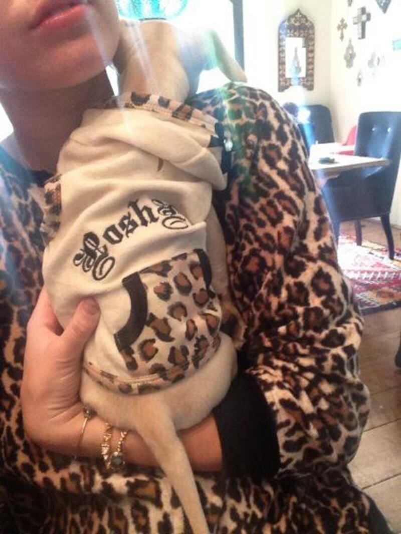 galleries/2013/02/03/rebel-wilson-miley-cyrus-more-celebrity-twitter-pictures-photos/130203-twitpics-miley-cyrus_eclxvx