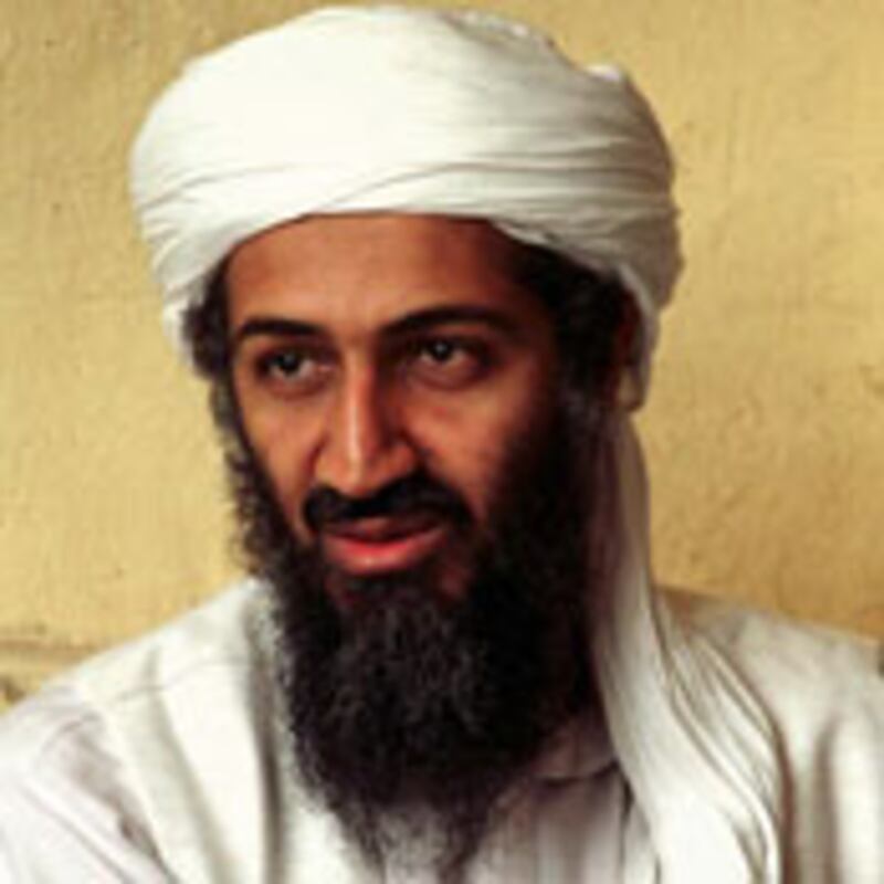 articles/2010/01/24/hitting-bin-laden-where-he-lives/riedel-bin-laden_77391_pslksu