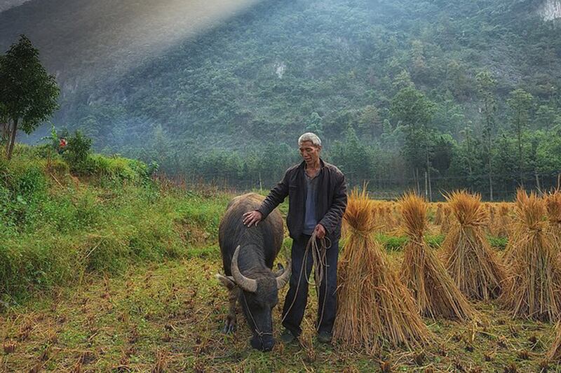 galleries/2015/04/25/instagrammer-of-the-week-keith-ladzinski/150424-instagrammer-ladzinski-10_crcqxh