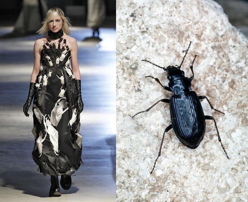 galleries/2014/03/06/fendi-lanvin-and-more-fashion-week-pieces-that-looked-like-animals/gal-2014-fashion-wild-4_li66ko