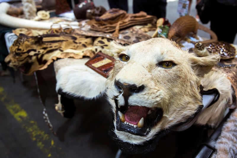 galleries/2014/07/20/confiscated-contraband-animals-in-airports/140717-airport-confiscated-5_faaafu