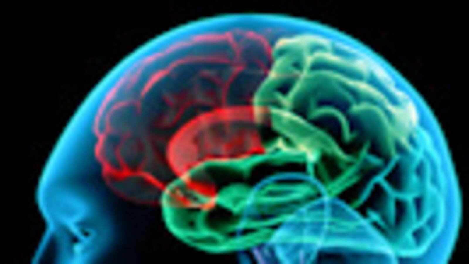 articles/2008/11/07/the-end-of-bad-memories/schwartz-memory_3910_q9fnjw