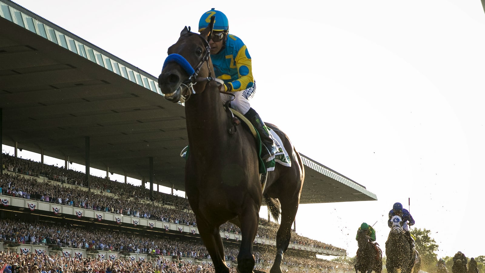 cheats/2015/08/03/american-pharoah-wins-invitational/150803-american-pharoah-haskell-invitational-cheat_rwgtdh
