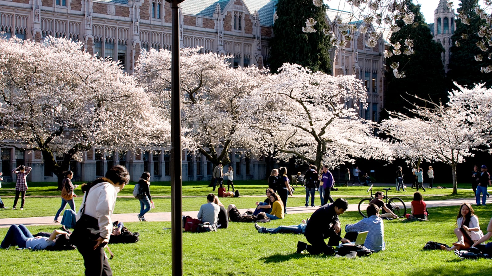 articles/2013/08/07/academic-israel-programs-and-their-critics/university-of-washington_eqbqlw