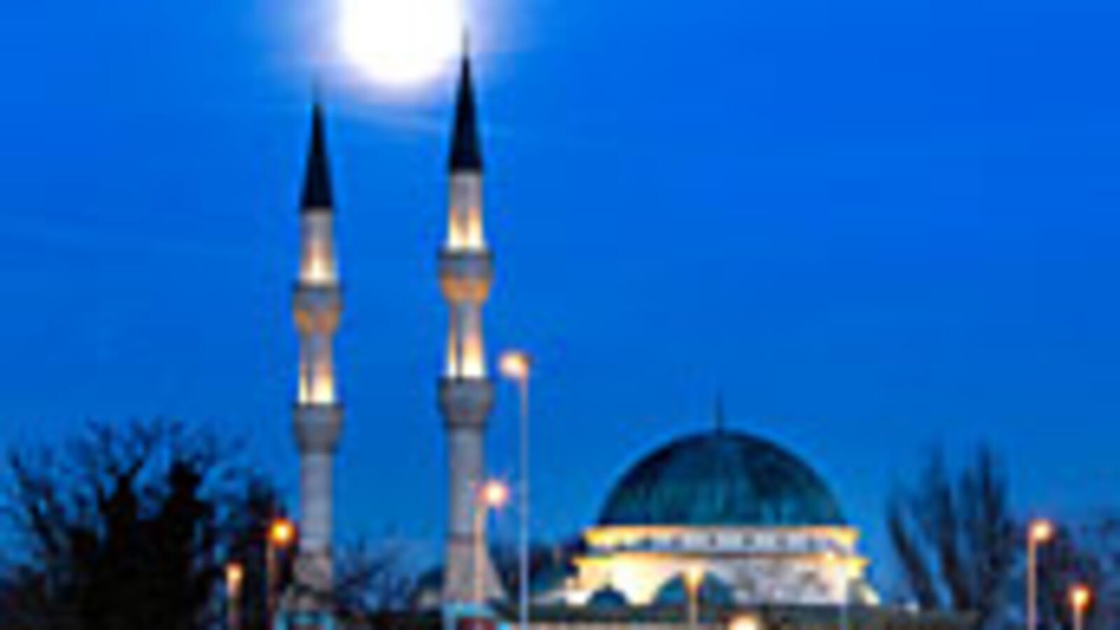 articles/2009/12/01/switzerlands-gift-to-osama/pape-minaret-madness_66426_j9zu1s