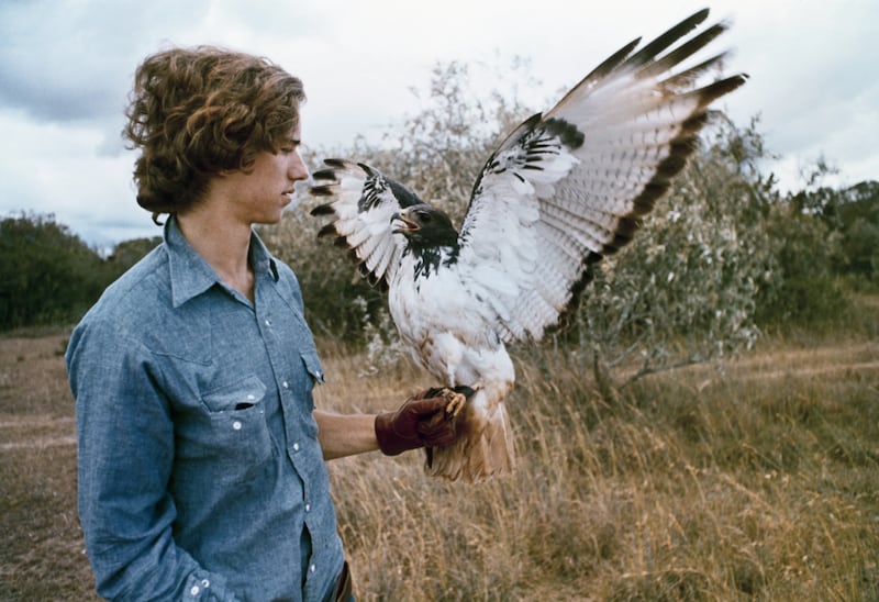 Bobby Kennedy Jr. handles an Augur hawk in The Last Frontier, a wild life television special in which he appears as himself.
