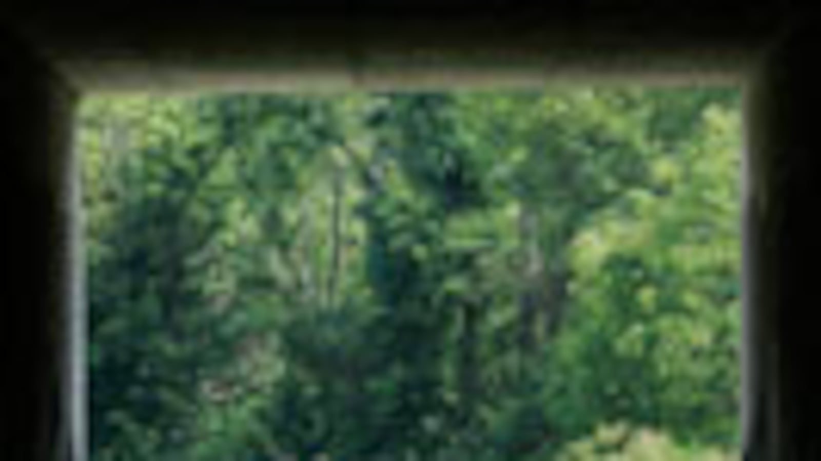 articles/2008/10/28/mccains-last-hope-the-amish-vote/sarlin-amish_2401_pkhwkr