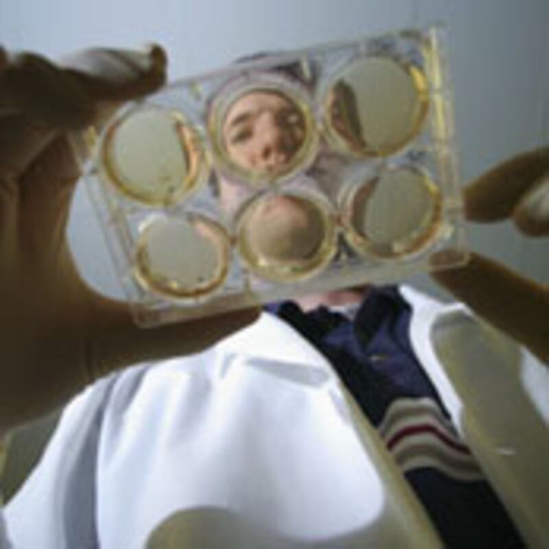 articles/2009/03/02/an-ethical-non-quandary/kinsley-stem-cells_16330_s2yf40