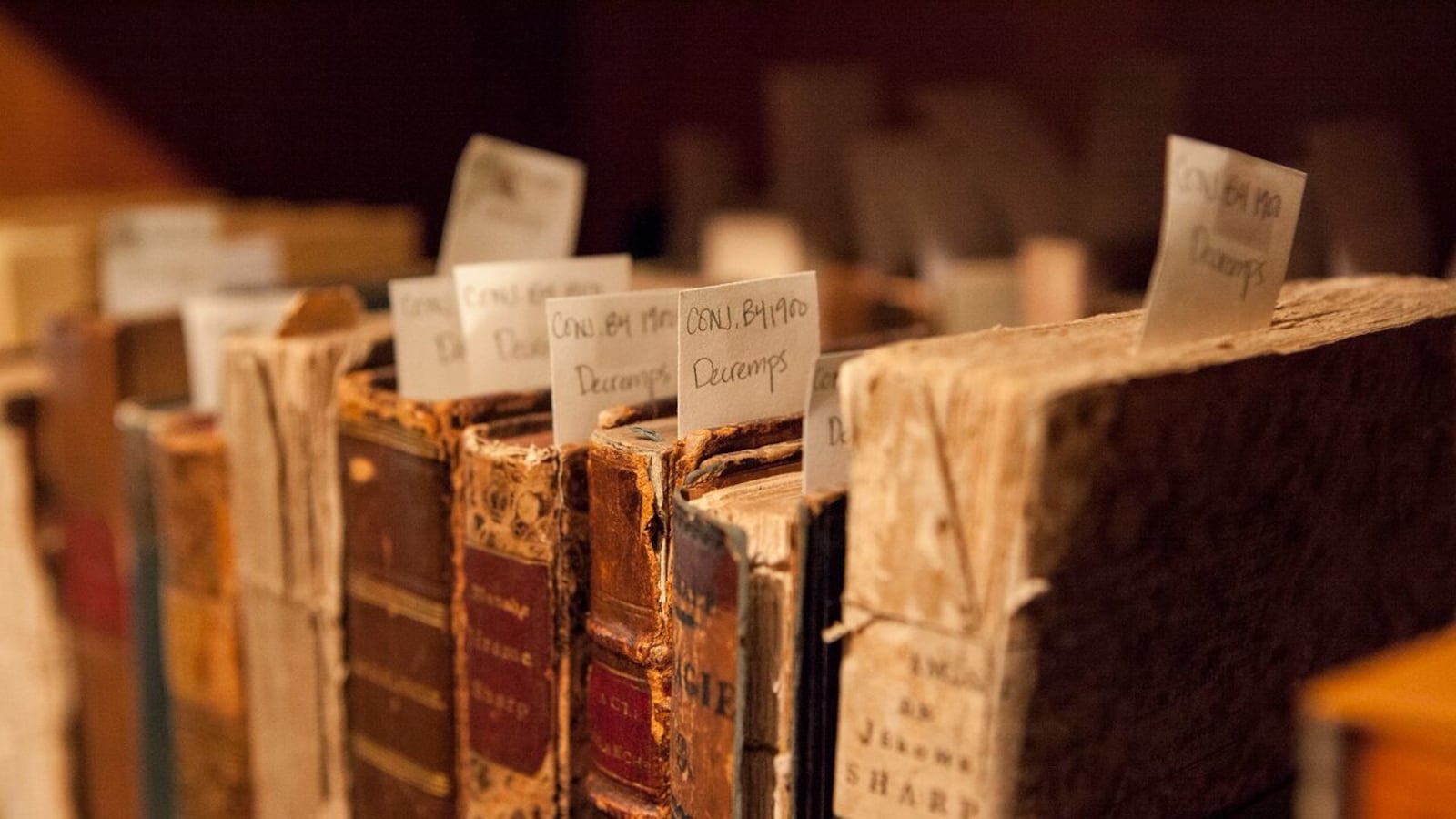 articles/2015/06/01/tour-of-new-york-s-best-secret-libraries/150602-secret-library-tease_lcs9qm