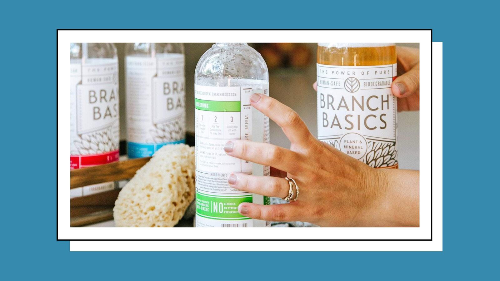 branch_basics_q3_2021.001_q95yiq