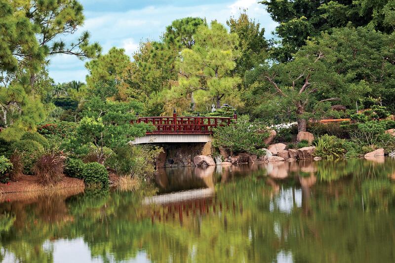 galleries/2015/03/15/the-foreign-wonders-in-your-backyard-photos/150313-nat-geo-03_yyzcle