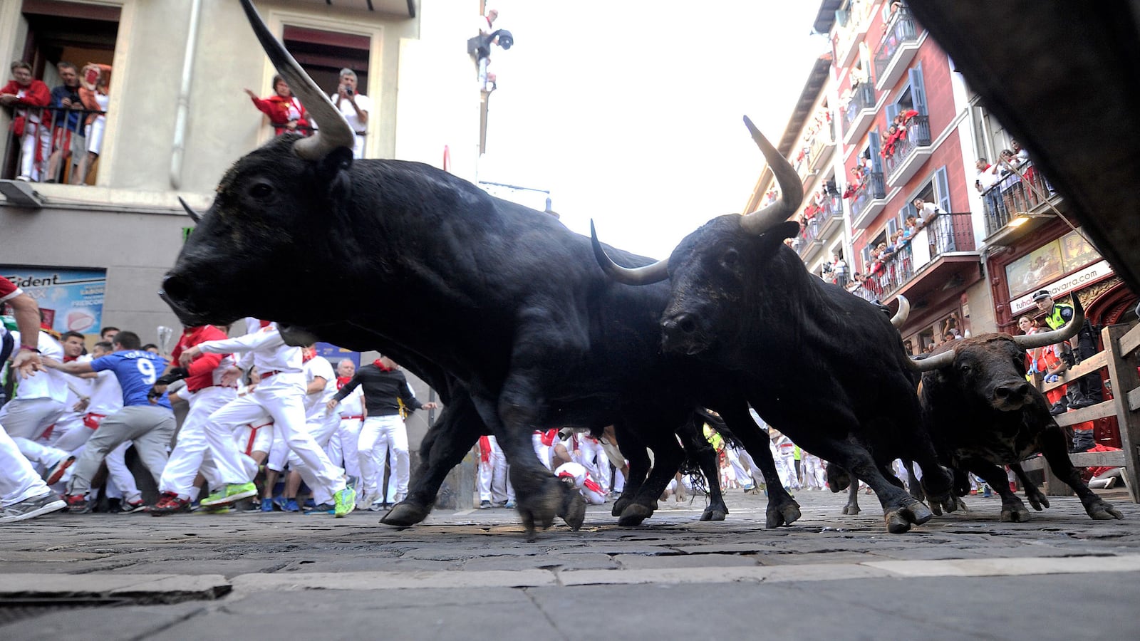 210621-hillman-running-of-the-bulls-tease_rpkhsb