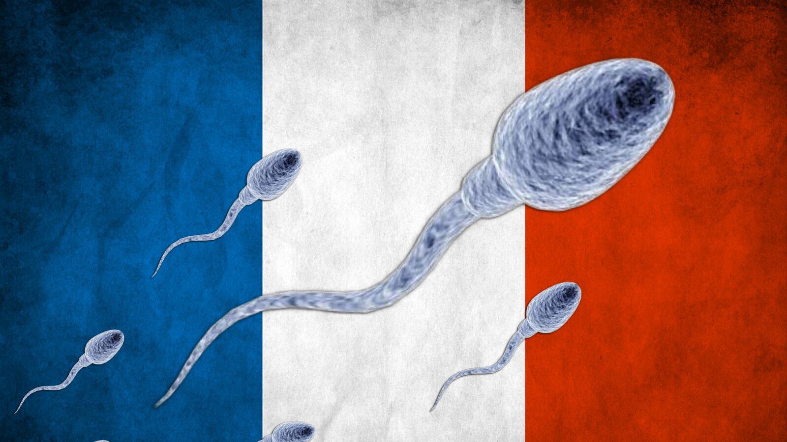 articles/2014/03/01/france-s-worst-nightmare-comes-true-declining-sperm-quality/140228-crocker-french-sperm-tease_m4q2vy