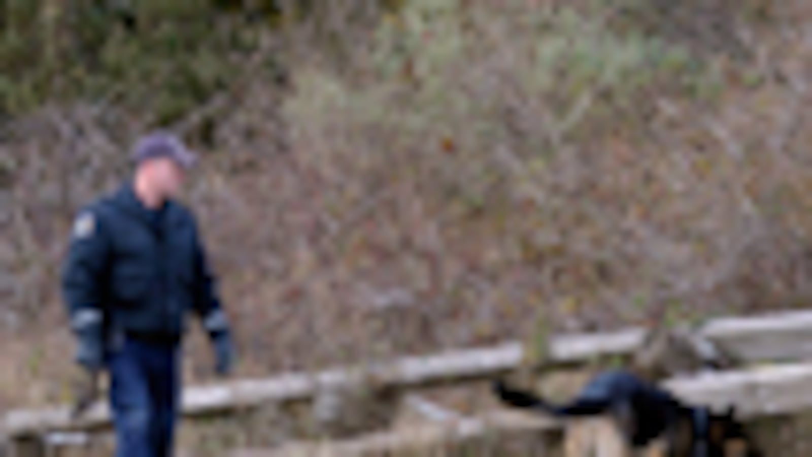 cheats/2011/04/04/three-more-bodies-found-on-long-island/craigslist-killer-3_r5s7ph