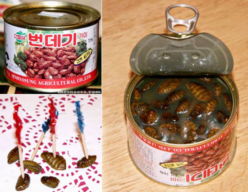 galleries/2010/07/13/canned-foods/canned-food---silkworms_snmf12