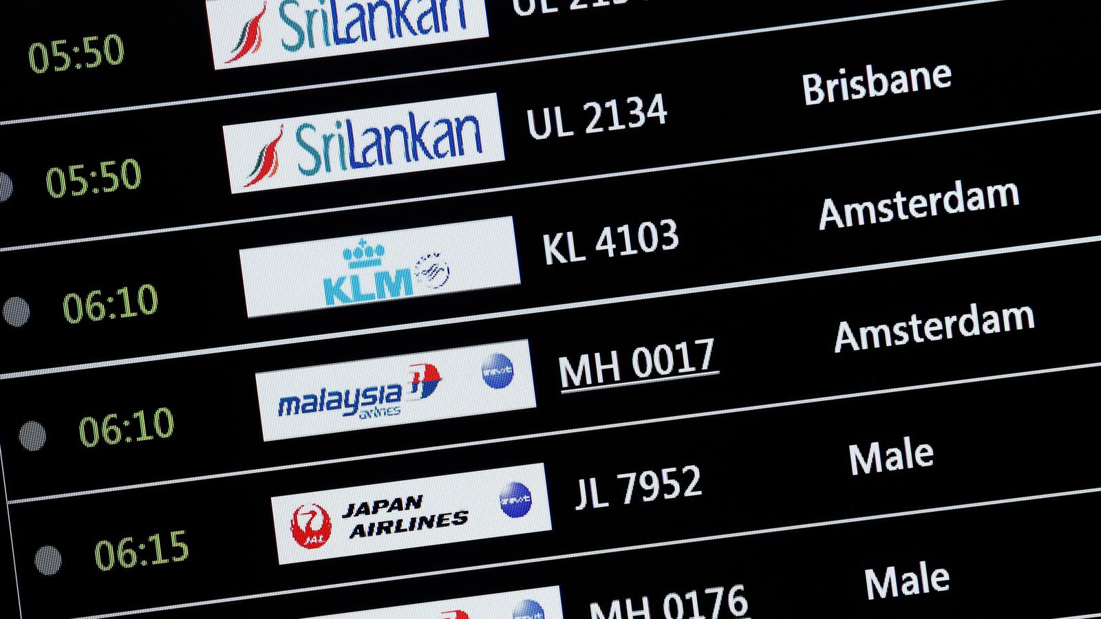 cheats/2014/07/18/couple-who-missed-flight-in-shock/140718-missed-flight-cheat_ankddk