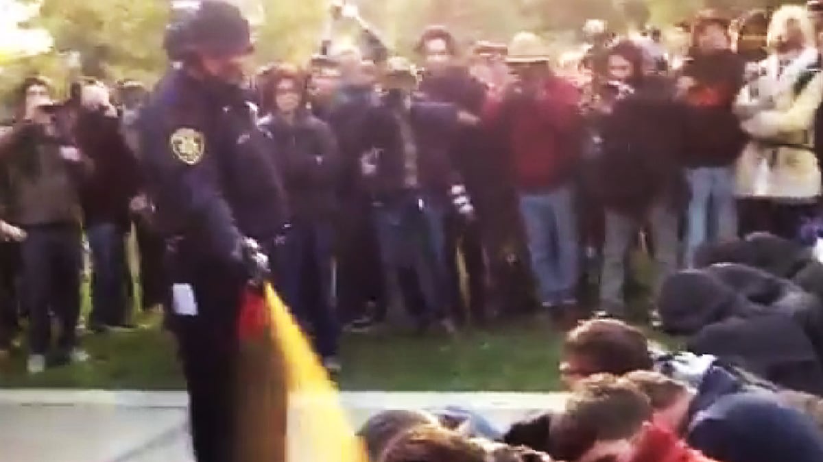 cheats/2011/11/20/uc-davis-students-protests-chancellor/occupy-university-california-pepper-spray-cs_loilgi