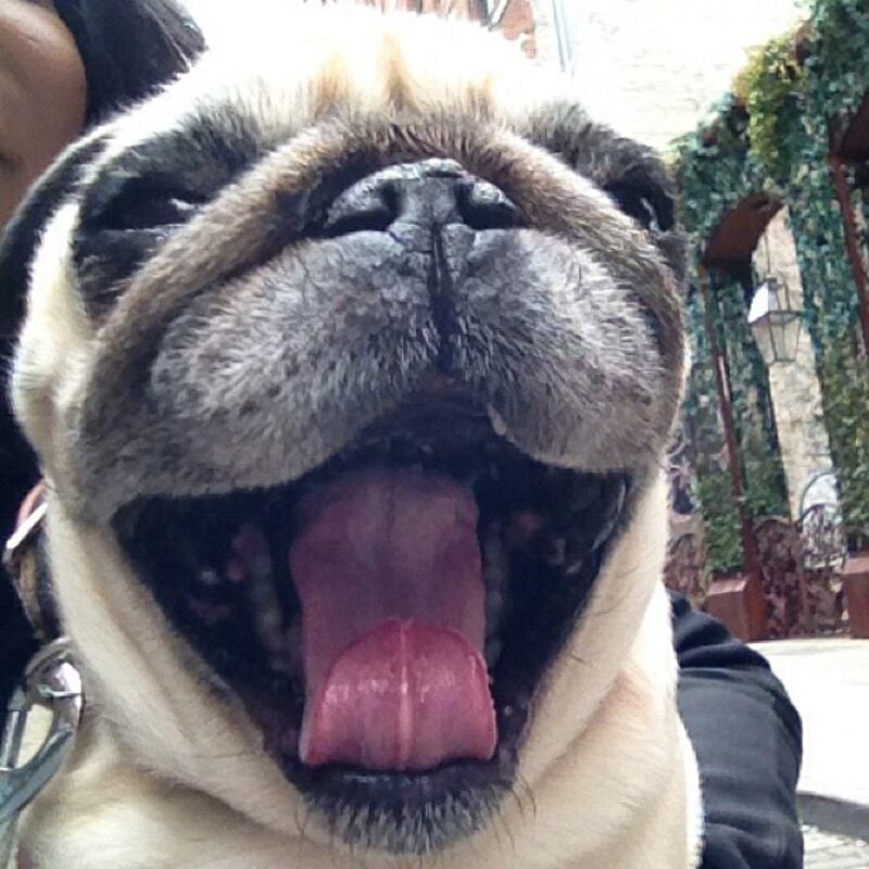 galleries/2012/11/02/lady-gaga-kim-kardashian-more-fashion-instagrams/gen_egn9pf