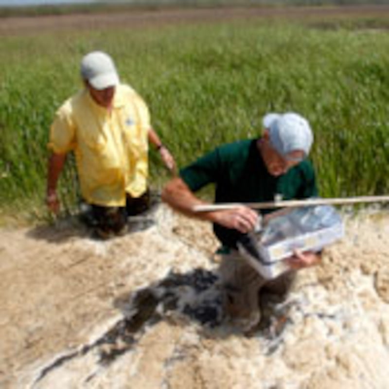 articles/2010/05/05/will-the-spill-impact-public-health/karl-oil-spill-public-health_98734_lyemxe