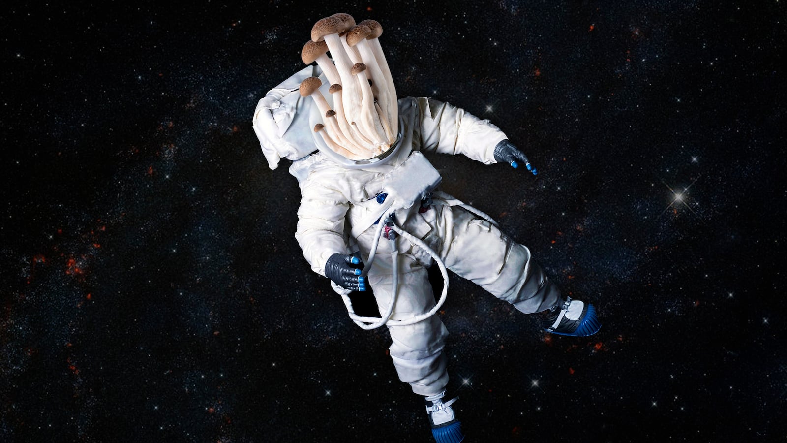 210915-whitely-space-fungi-tease_rpvcqs