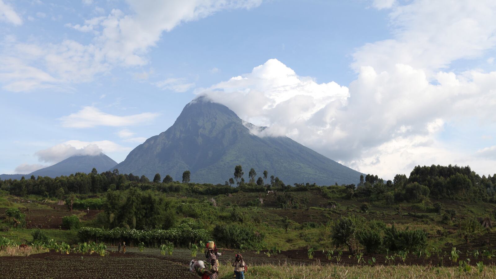 galleries/2014/04/25/the-battle-for-the-world-s-last-mountain-gorillas-photos/140425-virunga-park13_vcs3o9