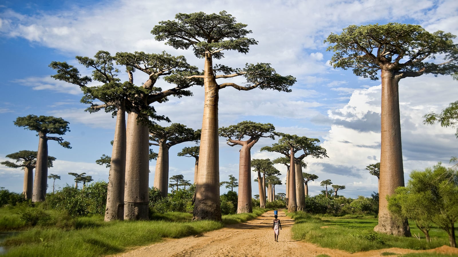 190324-dattani-madagascar-hero_caafwv