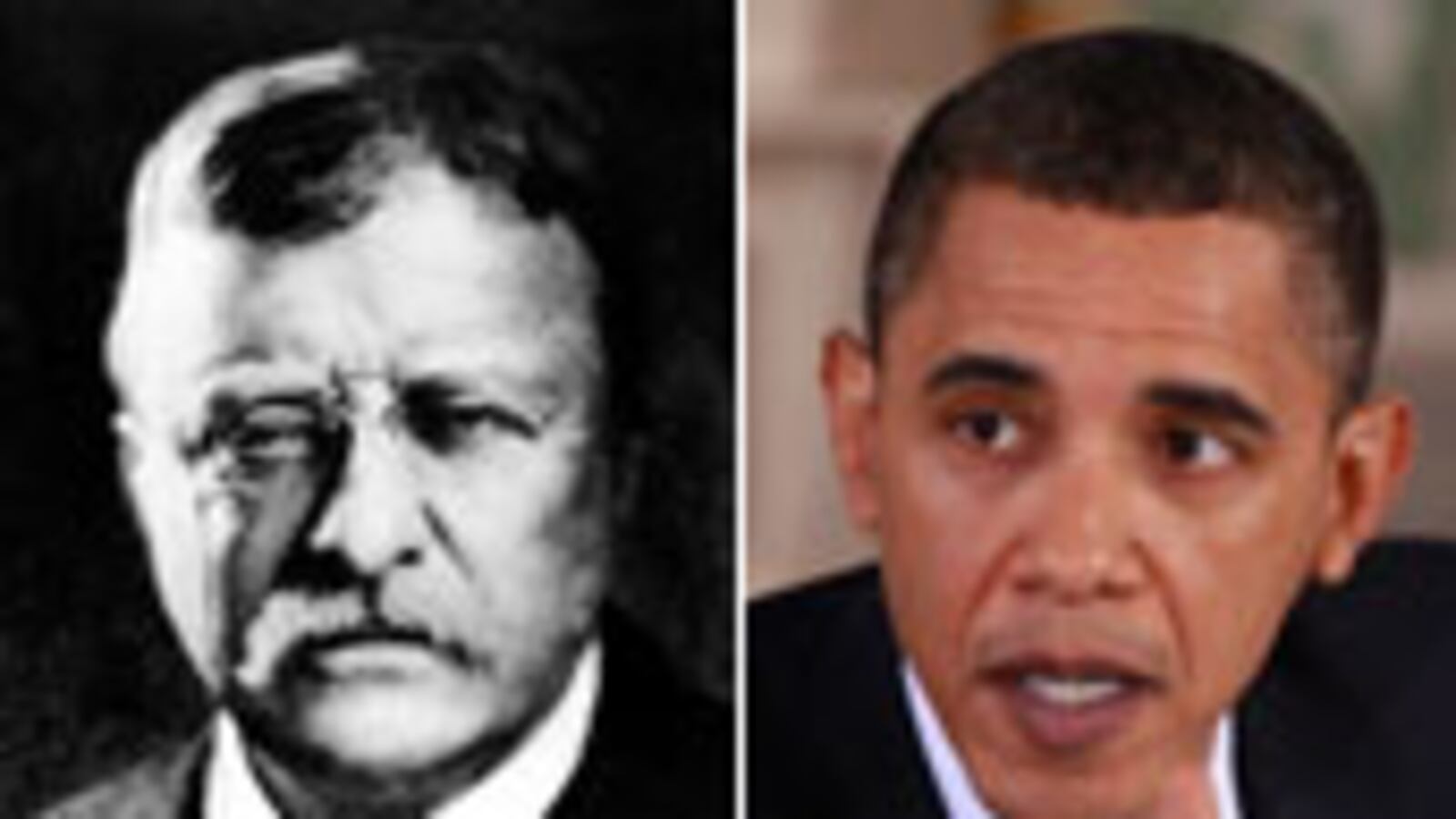 articles/2010/03/09/the-gops-war-on-teddy-roosevelt/avlon-teddy-roosevelt_86179_eakw09