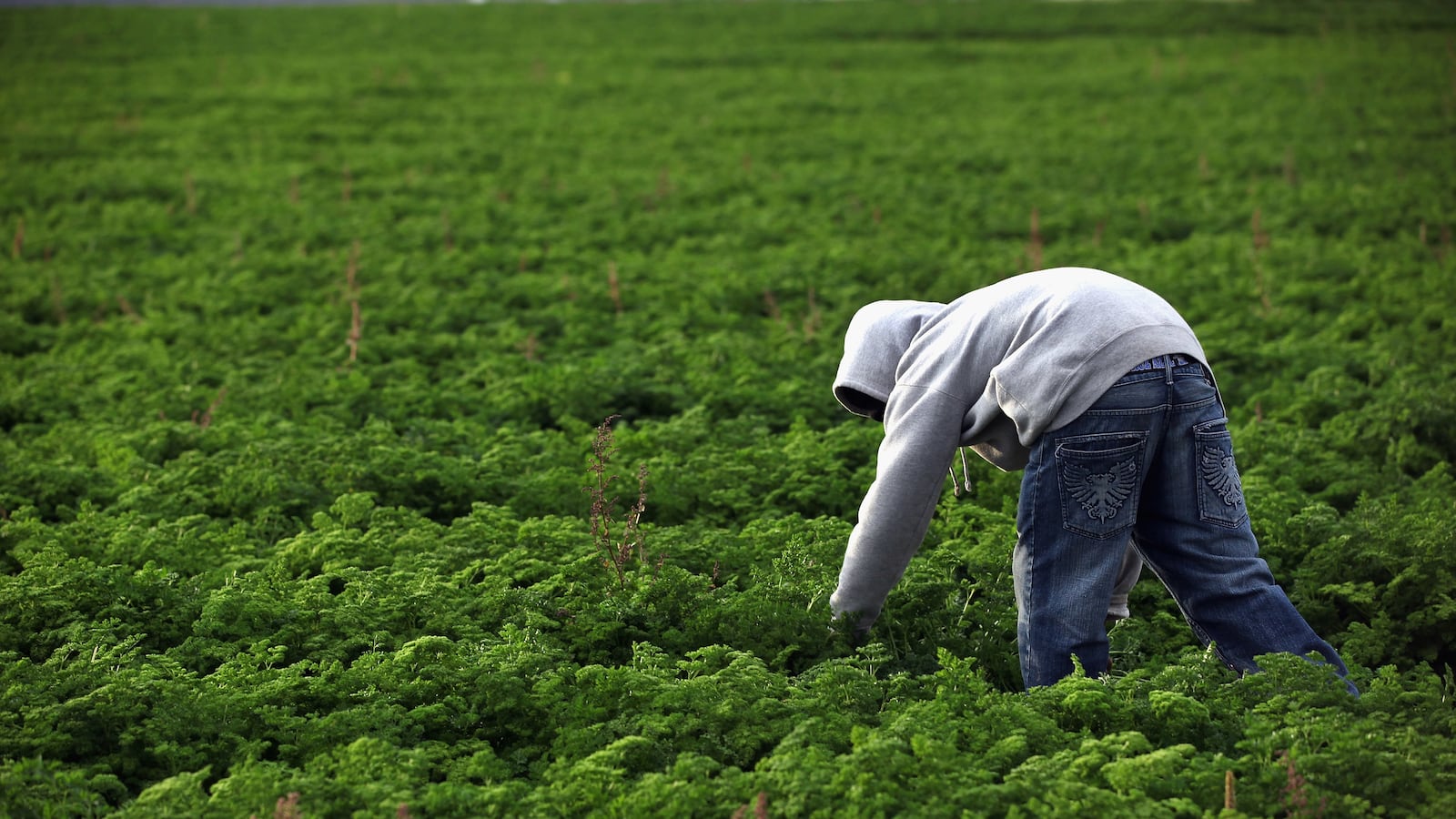 articles/2013/04/05/what-should-we-call-illegal-immigrants/what-should-we-call-illegal-immigrants-image_y0meh0