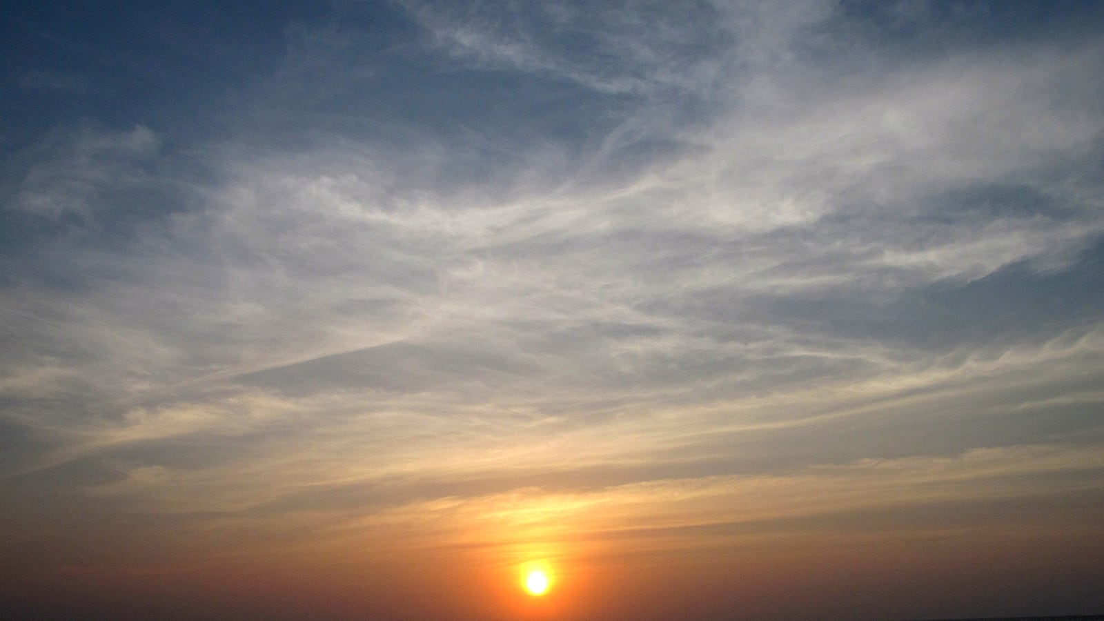 cheats/2016/01/27/microsoft-co-founder-destroys-coral-reef/160127-cayman-cheat_lj3nam