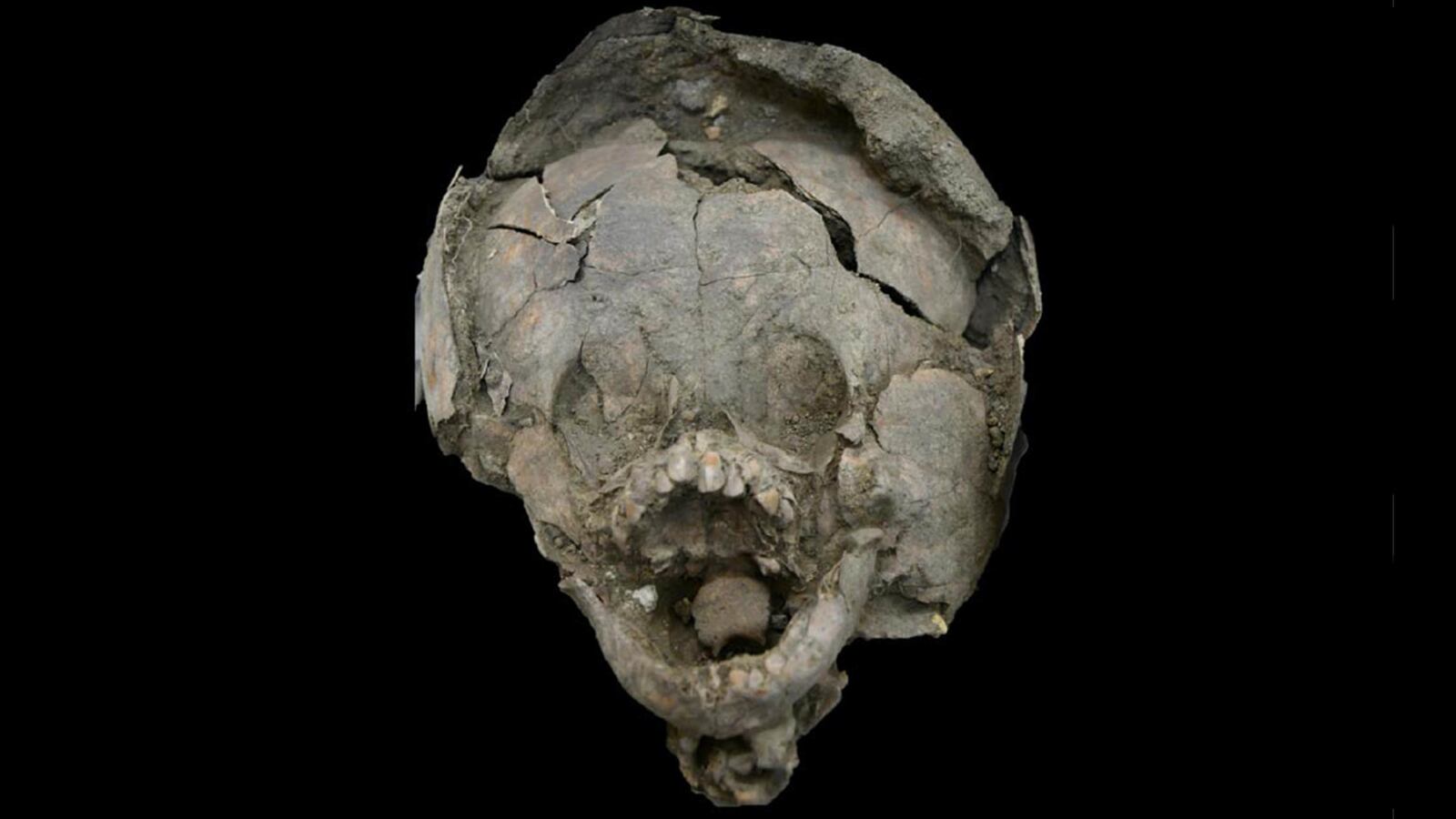 191207-moss-skeleton-helmets-tease_u8ysur