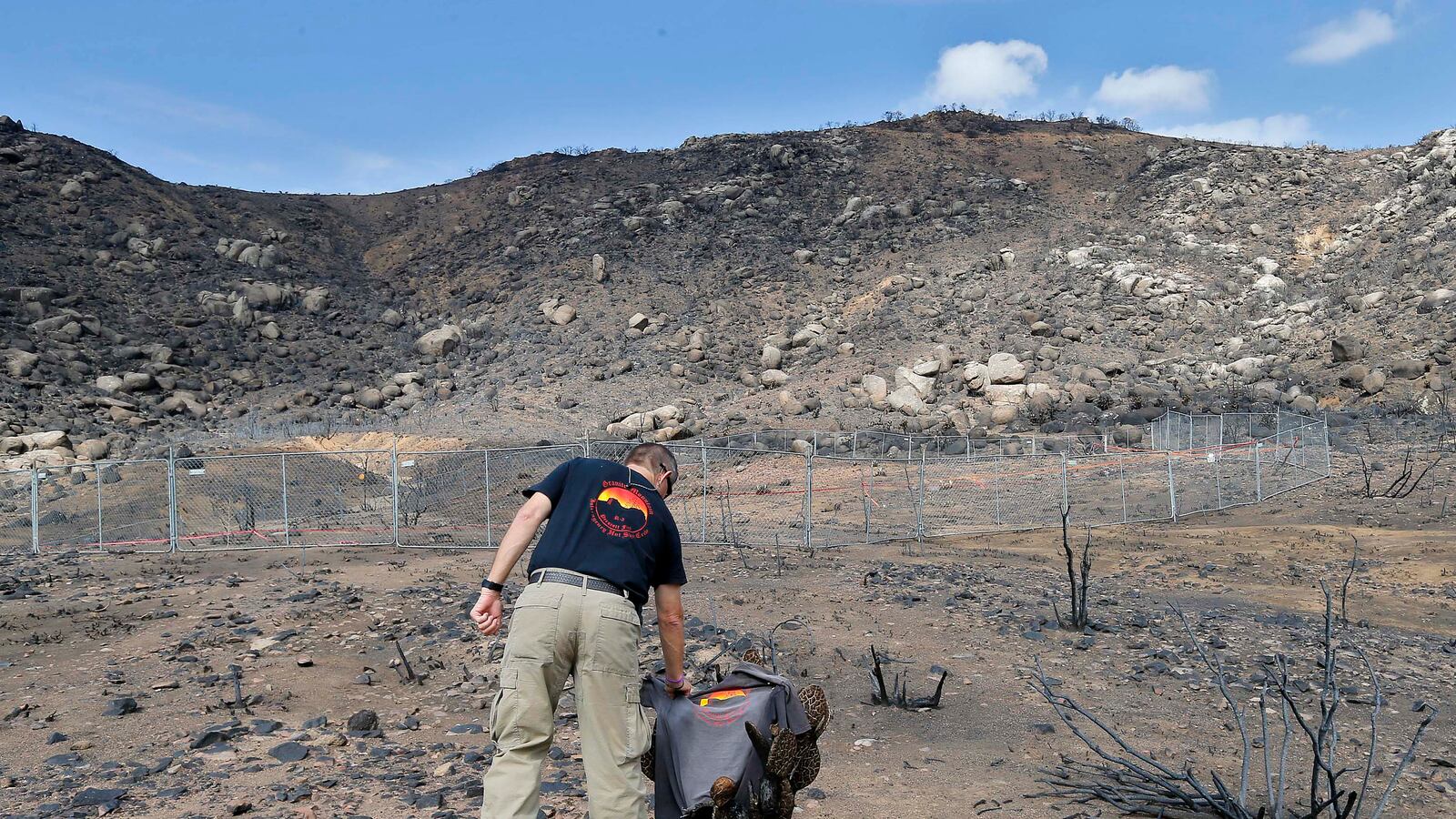 cheats/2013/09/29/report-yarnell-fire-not-survivable/130929-arizona-firefighters-cheat_fq2zvt