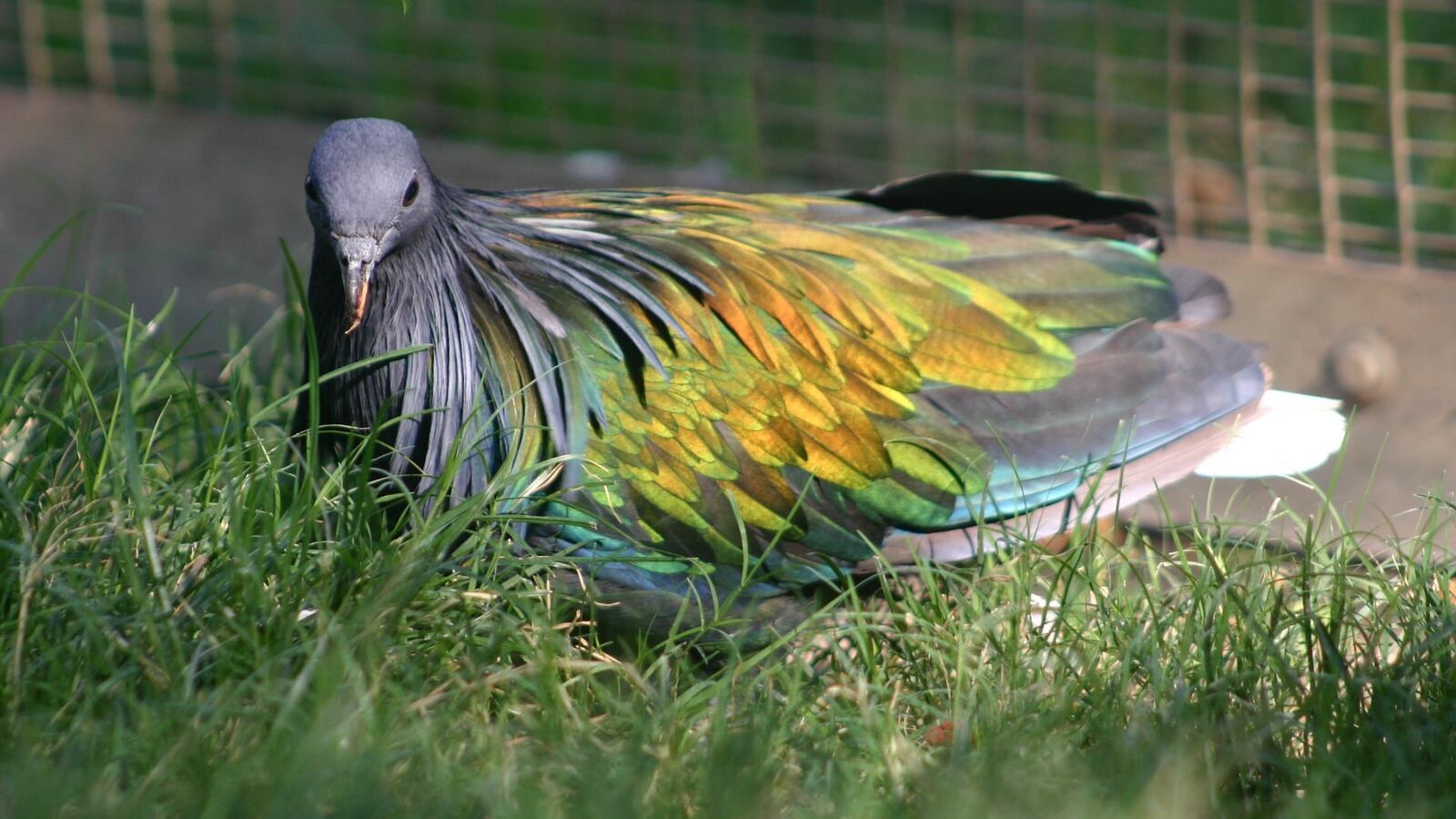 127859233_10157890860752894_7599206034815372850_o_jjxzki