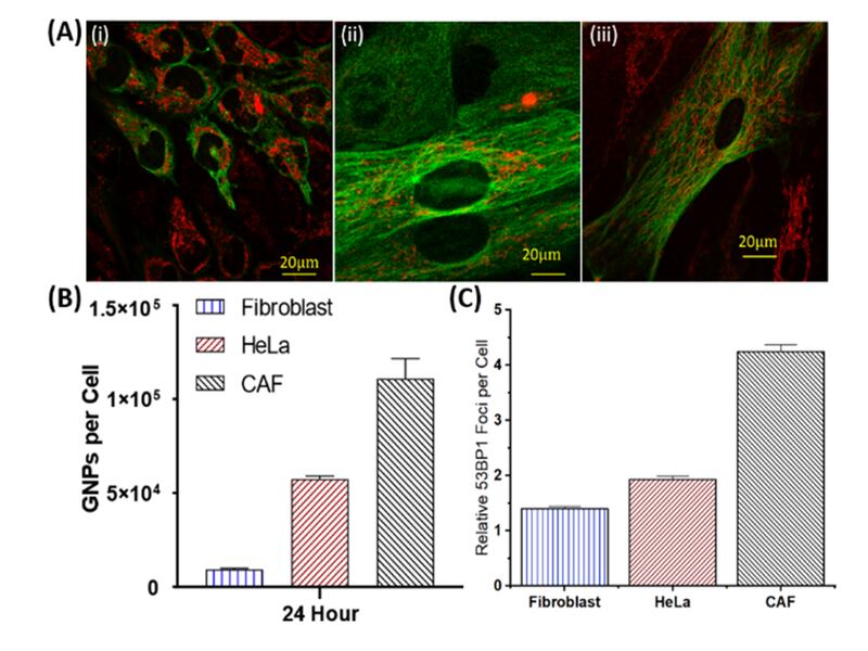 file-20210302-17-fx2m8l_bwpvyz