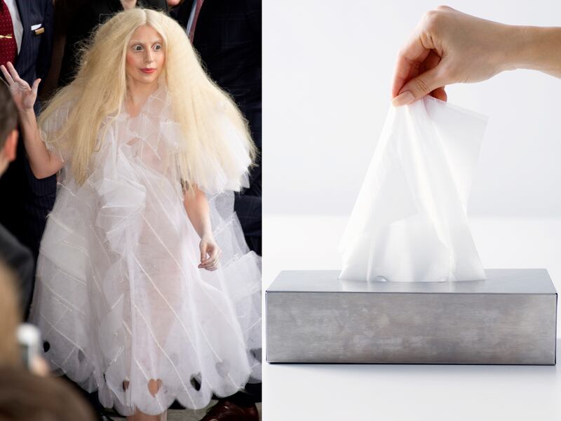 galleries/2013/10/30/from-miley-cyrus-to-katy-perry-stars-who-look-like-they-re-dressed-for-halloween-photos/halloween-gaga-tissue_hotvqo