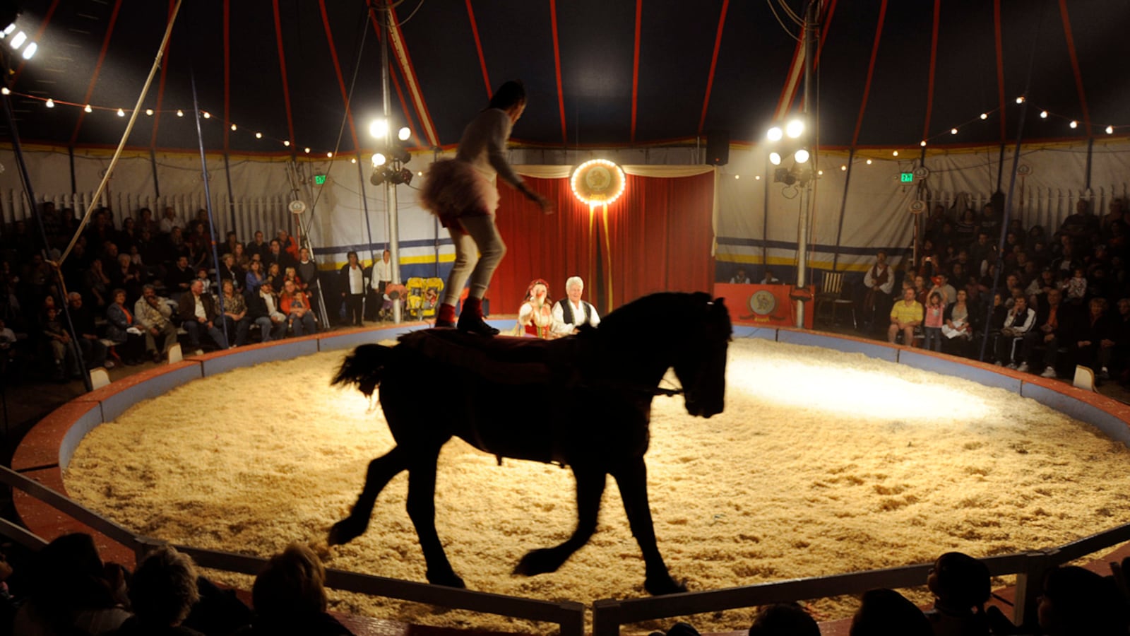 articles/2012/10/21/giovanni-zopp-s-real-life-family-circus/zoppe-family-circus-jones-main_fu35fv