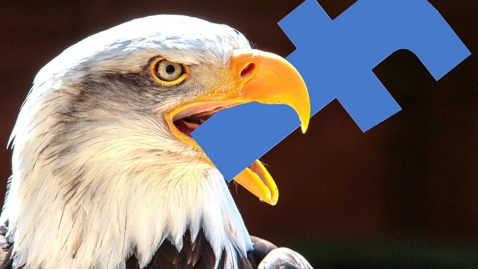 Can't Believe I'm Saying This but It's Time for Big Government to Rein in Big Data