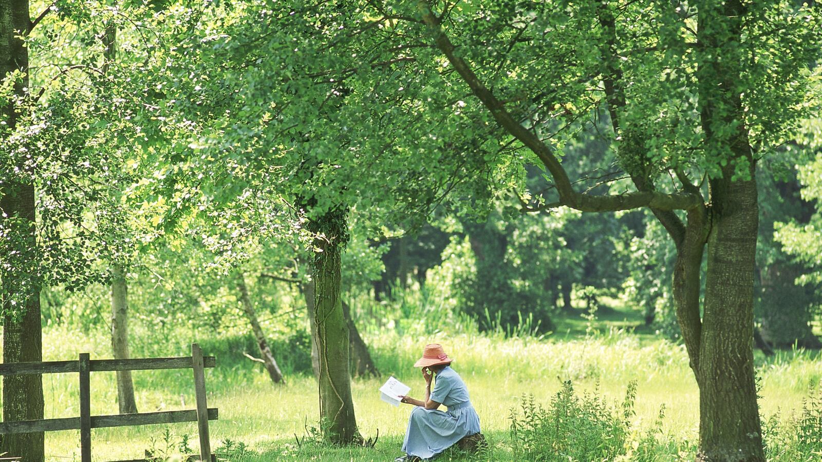 articles/2013/09/24/one-perfect-summer-day-in-virginia-woolf-saul-bellow-and-others/130924-summer-books-seidel-tease_iim94p