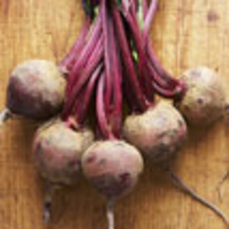 articles/2009/09/22/what-to-eat-13/what-to-eat---beet-salad-with-walnuts_irmpzp