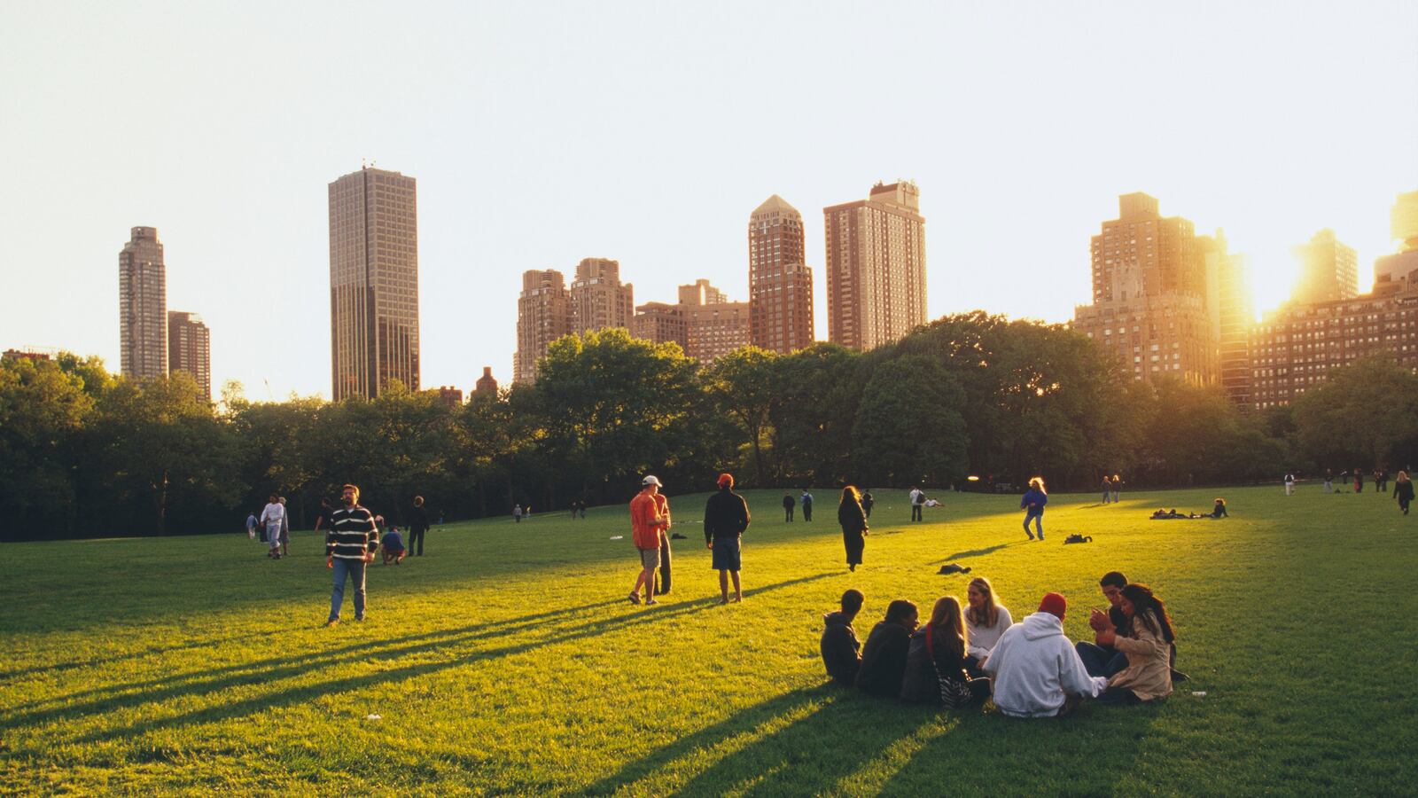 articles/2014/11/04/parks-and-regeneration/141030-gross-central-park-tease_sus2np