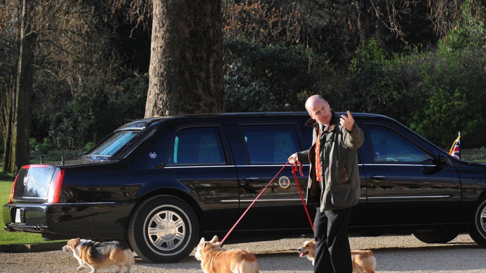 articles/2016/02/22/the-fabulous-life-of-the-queen-s-corgis-silver-salvers-and-homeopathic-remedies/corgipic_mjcnkc