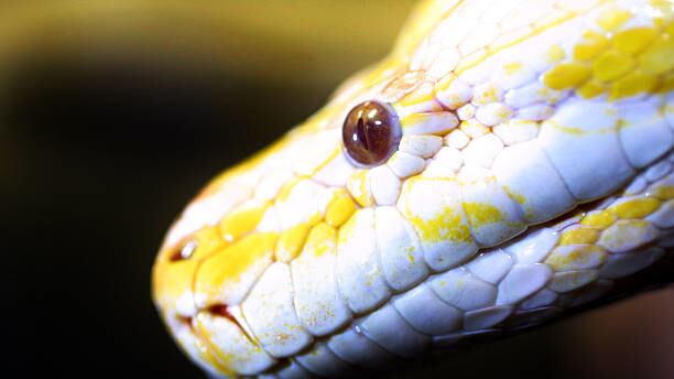 gettyimages-1608638-612x612_pb3mno