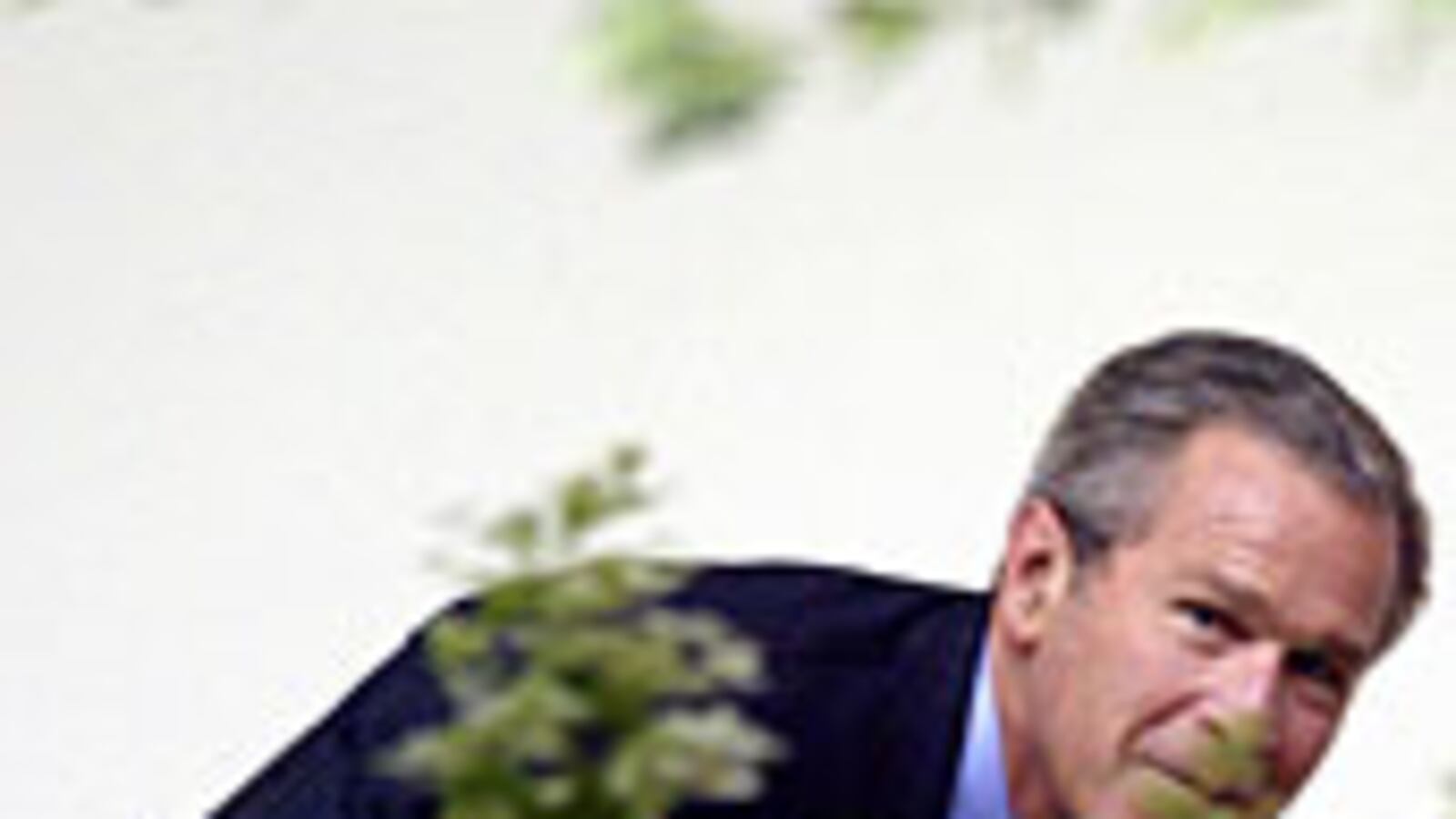 articles/2009/05/23/bush-is-fun-again/schaffer-george-bush_28146_curws3