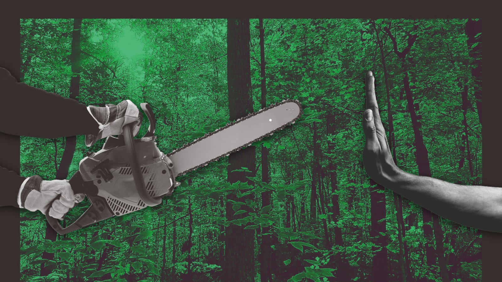 041622-briquelet-trees-hero_hivjpn